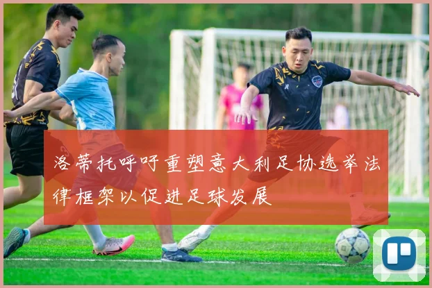 洛蒂托呼吁重塑意大利足协选举法律框架以促进足球发展