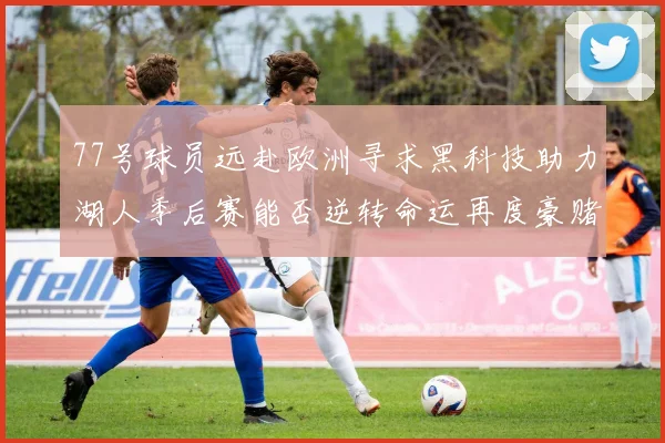 77号球员远赴欧洲寻求黑科技助力湖人季后赛能否逆转命运再度豪赌